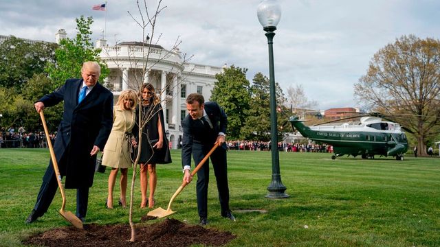 Macron to Send New Oak Tree to Trump After One in White House Died