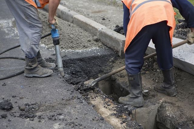 Drumarii au pus asfalt peste un câine pe o șosea din Sibiu