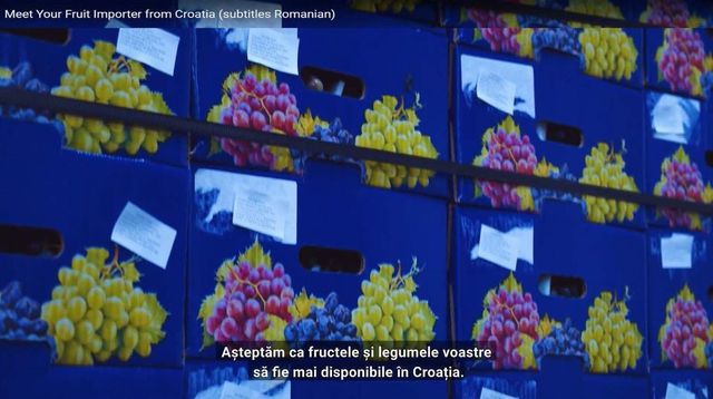 Importatorii din Croația interesați de fructele și strugurii din Moldova