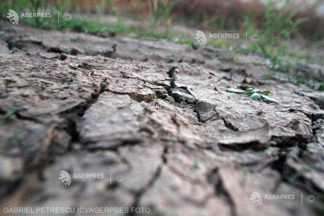 Europa de Est este afectată de cea mai gravă secetă din ultimul secol