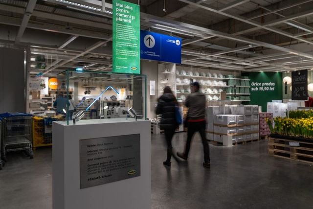 Ikea Romania a eliminat din oferta produsele din plastic de unica folosinta