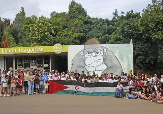 Cancelados los vuelos a España de los menores saharauis que venían de vacaciones