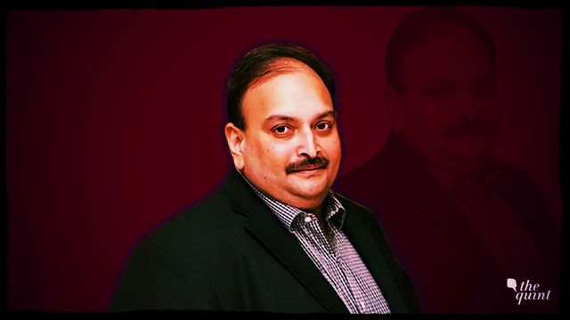 Mehul Choksi "Fugitive And Absconder", Probe Agency Tells High Court