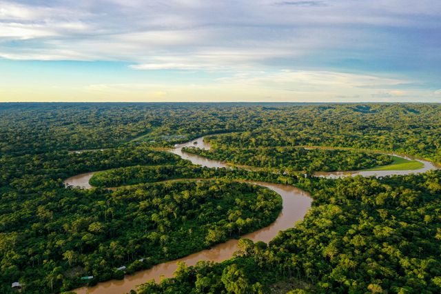 Csökkent az erdőirtás az Amazonas-vidéken
