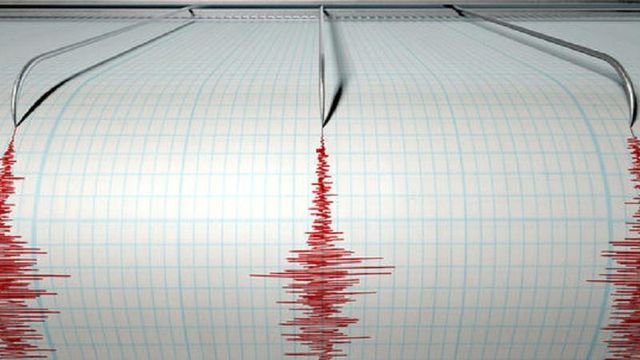 Cutremur cu magnitudinea de 4 grade s-a produs în Marea Neagră
