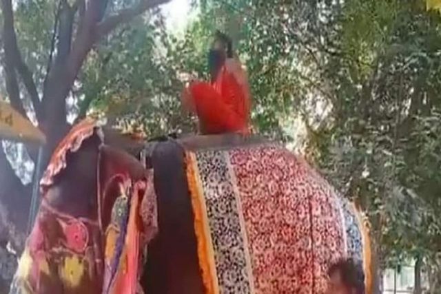 Ramdev falls off elephant, no injuries