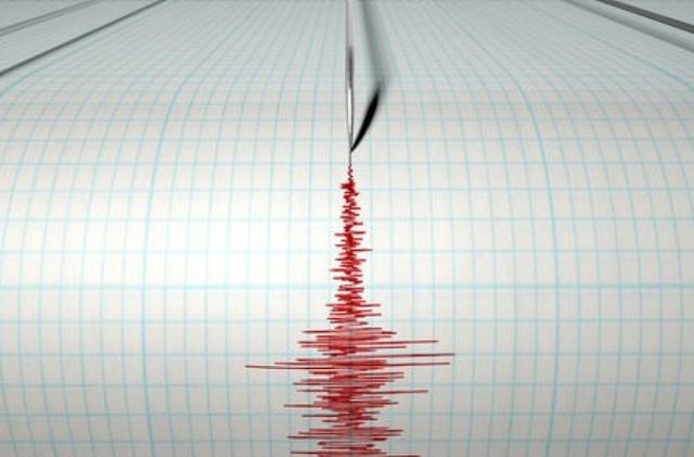 Un cutremur s-a produs in aceasta noapte in zona seismica Vrancea