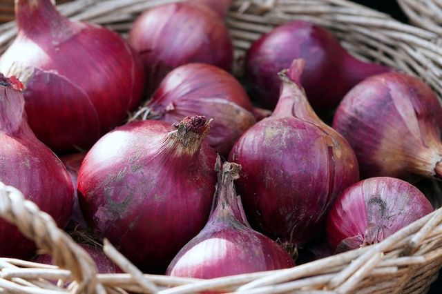 After 4-Month Ban, Centre Allows Onion Exports To 6 Neighbouring Countries