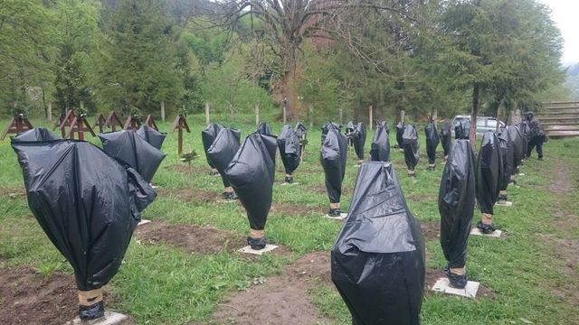 Polițiștii au descins la suspecții care au vandalizat crucile din Cimitirul Valea Uzului
