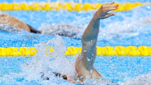 Mondiali Nuoto 2025, Italia argento nella 4×100 stile libero maschile