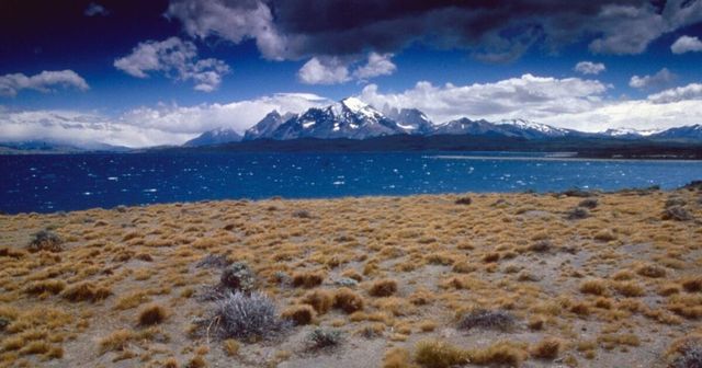 Terremoto di 7,5 gradi in Cile, allerta tsunami