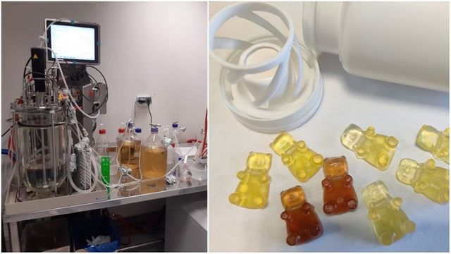 Institutul Cantacuzino lucrează la noul Polidin, unul dintre cele mai cunoscute medicamente de concepție românească