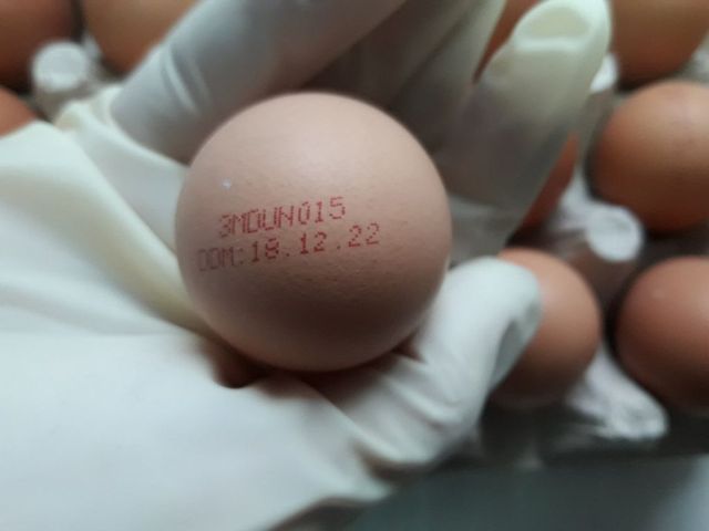 ANSA a dispus retragerea din comerț a unui lot de ouă cu salmonella
