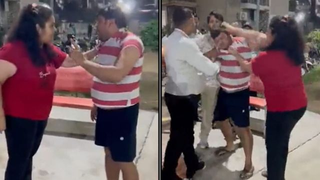 Noida Woman Assaults Man Over Removing Missing Dog Posters, Video Goes Viral