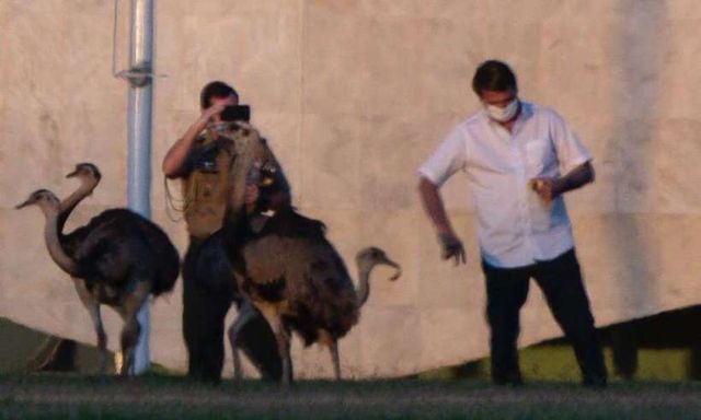 Președintele brazilian Jair Bolsonaro a fost mușcat de o pasăre, în timp ce încerca să o hrănească
