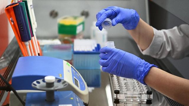 Голикова заявила о снижении смертности от COVID-19 в России