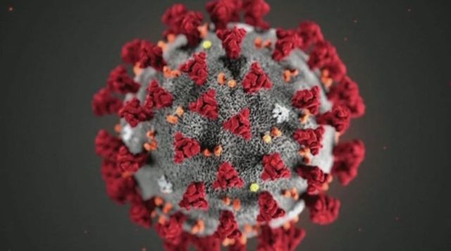 Coronavirus, Eurostat: in Europa 160mila morti in più in tre mesi