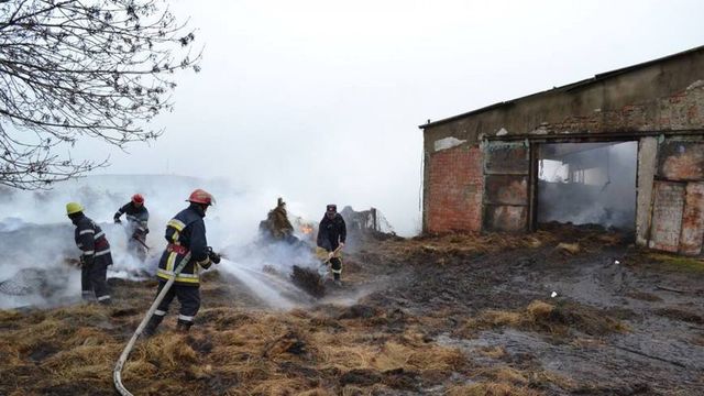 Un incendiu care a izbucnit într-o gospodărie din raionul Leova a luat viața a 35 de oi
