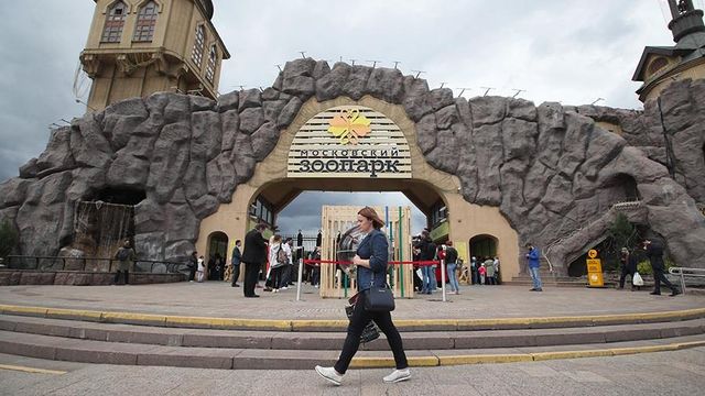 Московский зоопарк получил три награды панда-премии