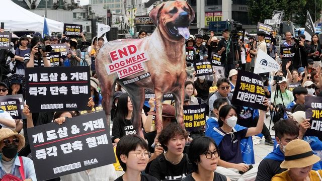 South Korea Parliament Passes Landmark Bill To Ban Dog Meat