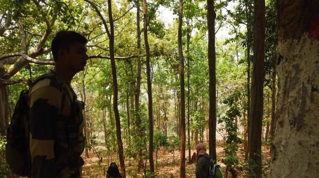 Chhattisgarh: CoBRA commando killed, one injured in encounter