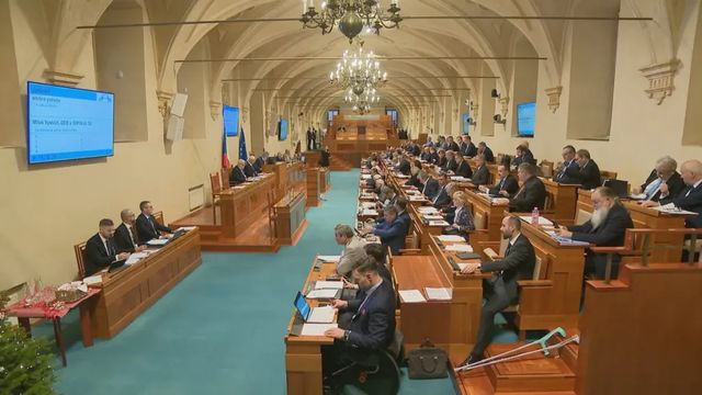 Senát schválil smlouvu s Vatikánem, kterou kritizují oběti sexuálního násilí v církvi