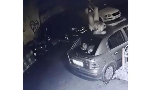 Medicii legiști au stabilit cauza morții tânărului drogat care ar fi fost bătut de polițiști