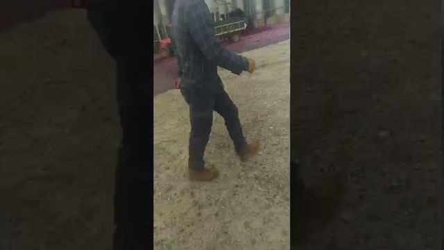 Завод в Испании затопило красным вином