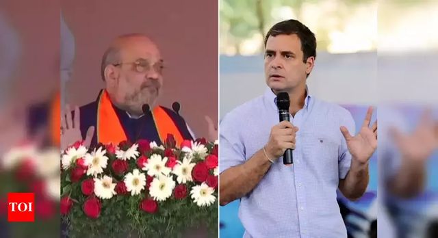 'You were on vacation then': Amit Shah slams Rahul Gandhi for fisheries ministry remark