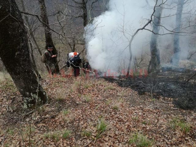 Circulația pe Valea Oltului- afectată de un incendiu de vegetație
