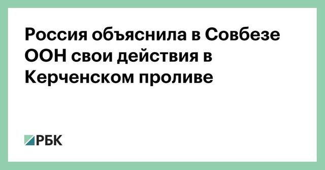 Россия объяснила в Совбезе ООН свои действия в Керченском проливе