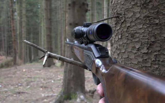 Un gorjean a fost împușcat la o partidă de vânătoare
