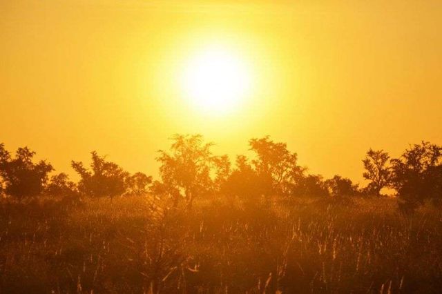 Avertizare meteo: Cod galben de caniculă emis pentru 14 iulie