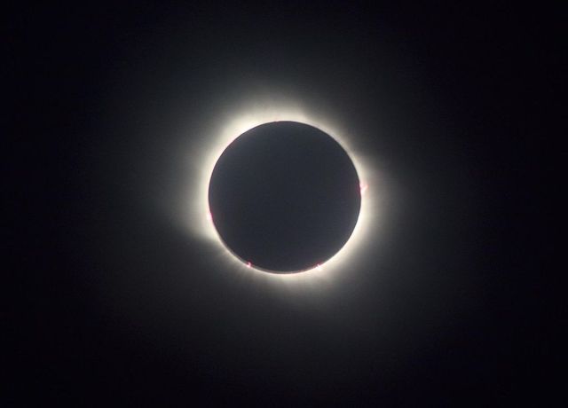 Eclissi solare totale 8 aprile, dove vedere la diretta dal Texas