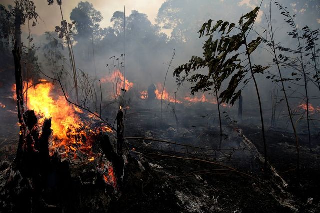 Általában gyújtogatás okozza a tüzeket az amazóniai esőerdőkben