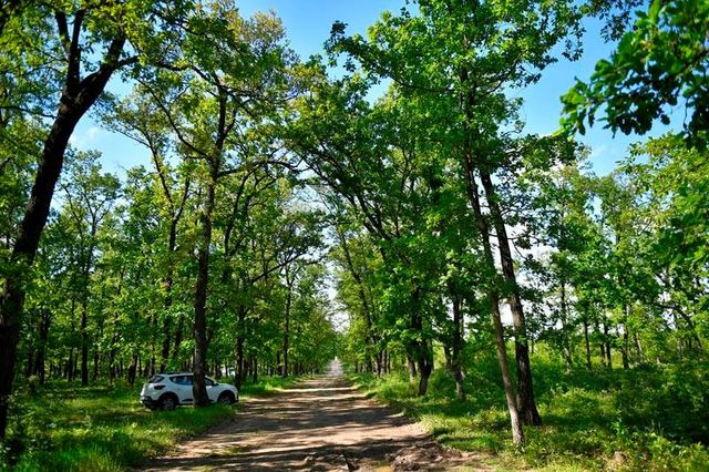 O femeie a sărit din mașina condusă de soț, speriată că a rămas fără frâne, și a murit, lângă Mănăstirea Brădițel din Neamț