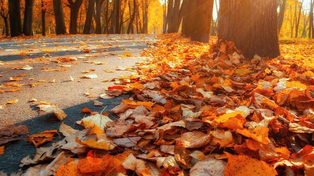 Prognoza meteo pentru miercuri, 29 octombrie 2025: Vreme mai caldă, soare și vânt intens la munte