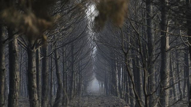 La resistencia de los pueblos del valle de Valdeón, en la vertiente leonesa de los Picos de Europa