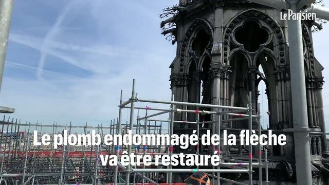 Incendiu la Notre-Dame: Gestul lui Papa Francisc pentru francezi