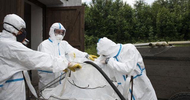 Do Česka se vrátila ptačí chřipka, nákaza je v malochovu na Vysočině