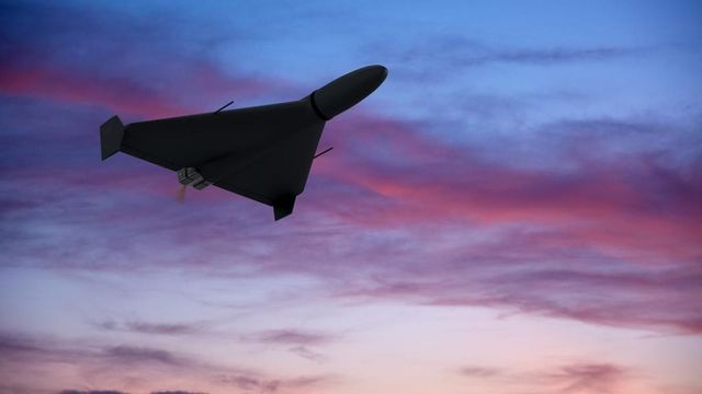 Fragmente de dronă au fost semnalate în zona canalului Șontea Nouă din județul Tulcea, a anunțat MApN