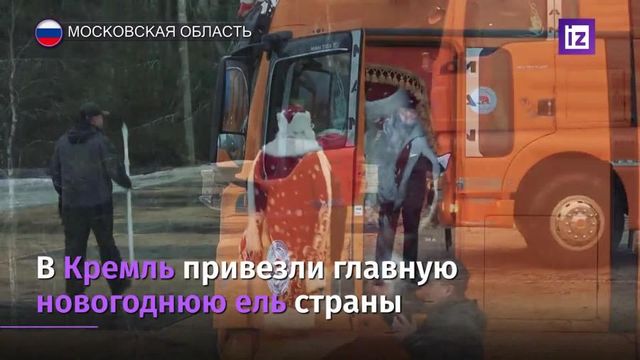 Главную новогоднюю елку привезли в Кремль