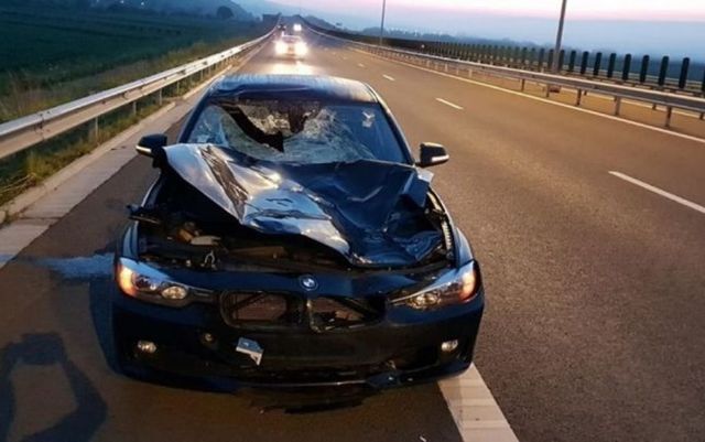 Un șofer și-a făcut bolidul praf după ce a lovit un cerb uriaș, pe autostrada Turda - Aiud