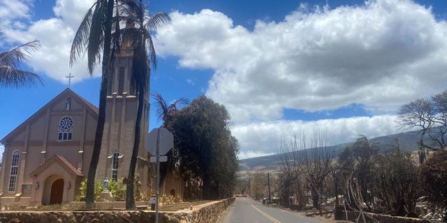 Kutyákkal kutatnak az áldozatok után a porig égett városban Hawaii-on, több száz embert még keresnek