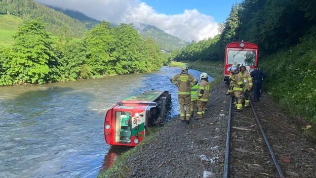 Cel puțin zece răniți după ce un tren cu adolescenți și copii a căzut într-un râu în Austria