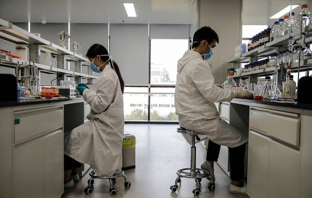 В Китае человек впервые заразился новым штаммом птичьего гриппа