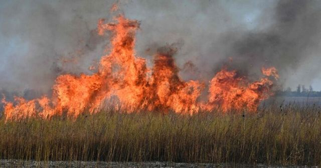 Attacco russo ai magazzini del grano in Ucraina centrale
