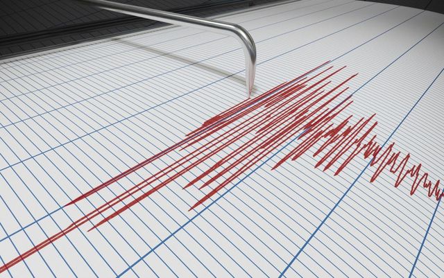 Trei cutremure au avut loc vineri noaptea în decurs de o oră în zona seismică Vrancea