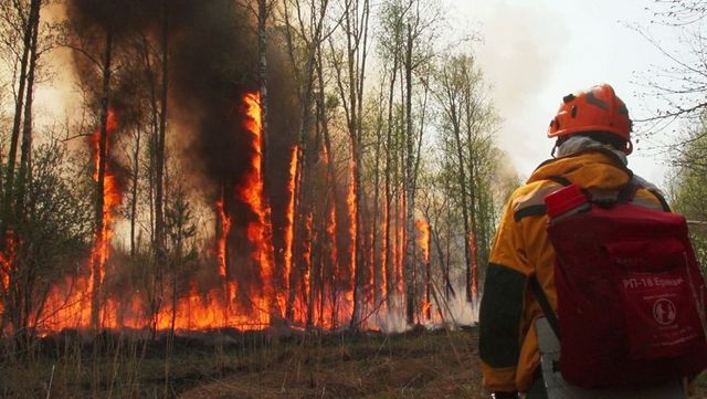 Fumul degajat de incendiile violente de vegetație din Siberia a ajuns pînă la Polul Nord