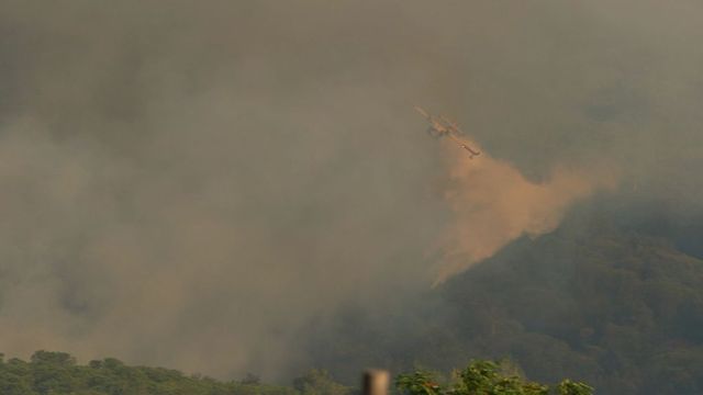 Incendio sul Vesuvio, le fiamme divorano la vegetazione